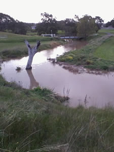creek